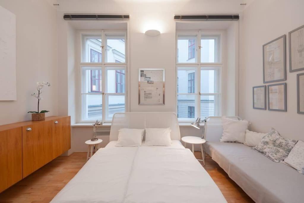 Apartament Charming Vodickova Praga